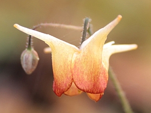 E.Rik_1601_3x2.jpg